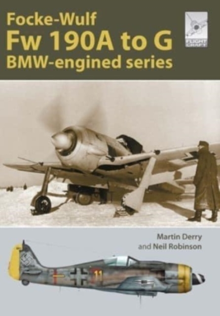 Flight Craft Special 2: The Focke-Wulf Fw 190 : The A-G Series, Paperback / softback Book