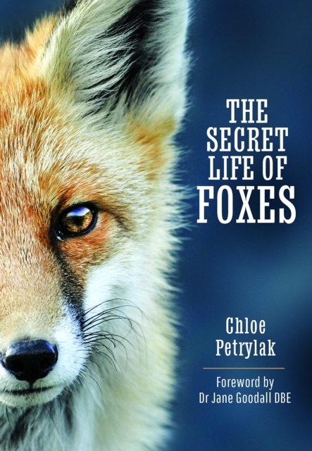 The Secret Life of Foxes, Hardback Book