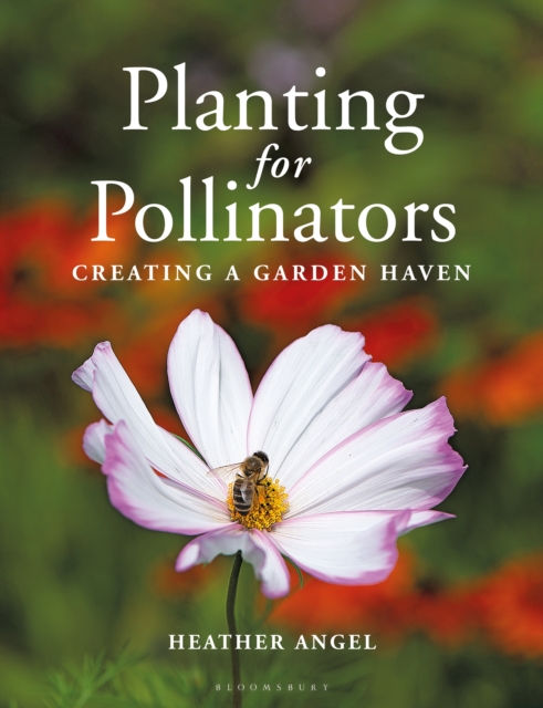 Planting for Pollinators : Creating a Garden Haven, PDF eBook
