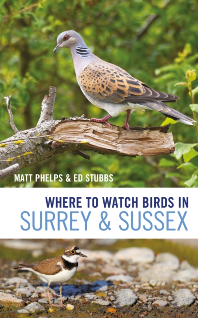 Where to Watch Birds in Surrey and Sussex, PDF eBook