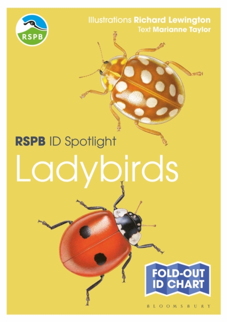 RSPB ID Spotlight - Ladybirds, Fold-out book or chart Book