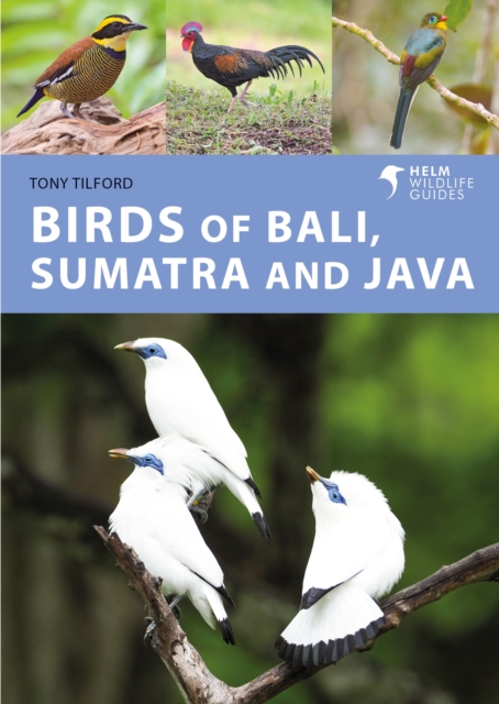 Birds of Bali, Sumatra and Java, PDF eBook