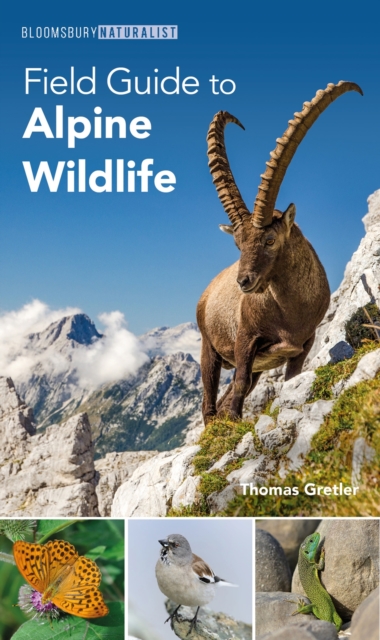 Field Guide to Alpine Wildlife, Paperback / softback Book