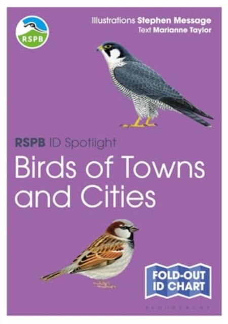 RSPB ID Spotlight - Birds of Towns and Cities, Fold-out book or chart Book