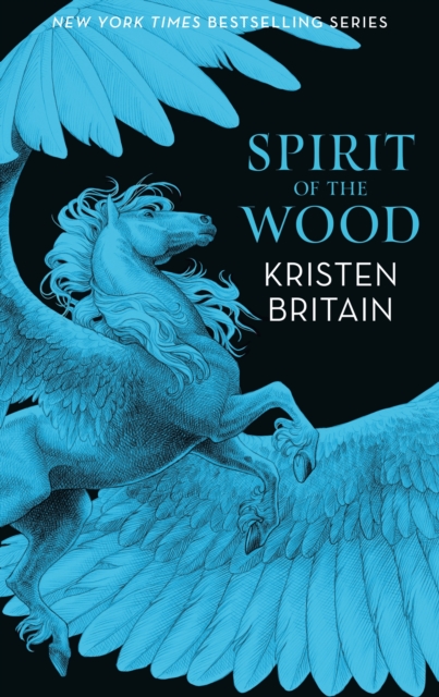 Spirit of the Wood, Paperback / softback Book