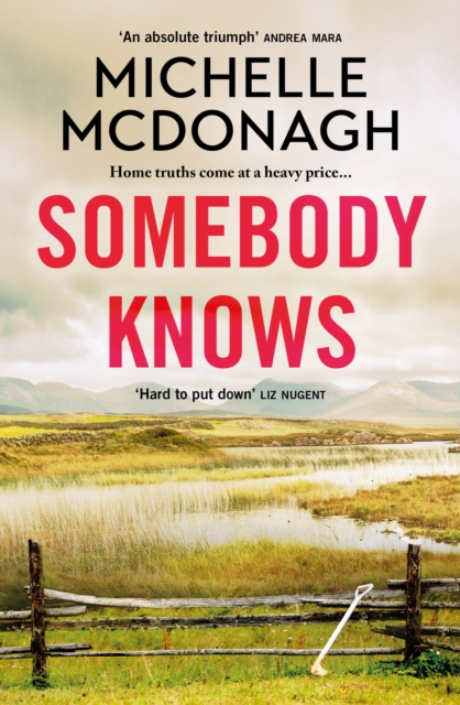 Somebody Knows : A gripping, addictive page-turner about dangerous secrets and the lengths people will go to keep them, Paperback / softback Book