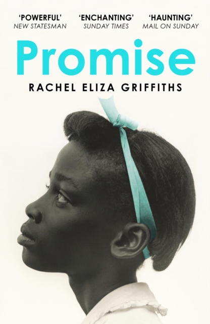 Promise, Paperback / softback Book