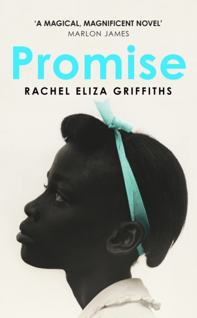 Promise, EPUB eBook