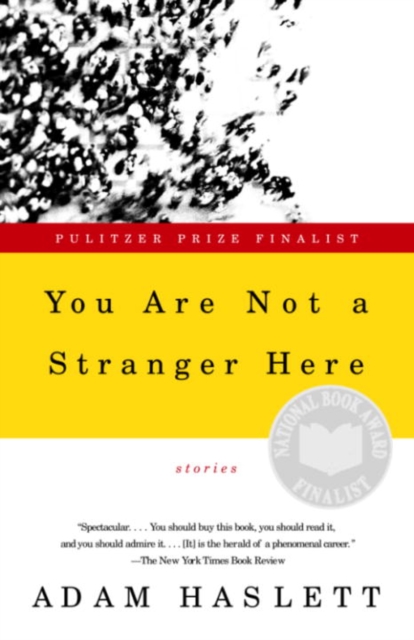 You Are Not a Stranger Here, EPUB eBook