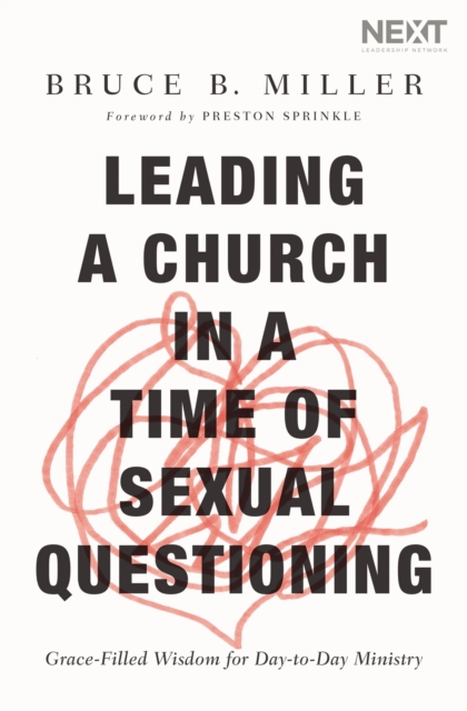 Leading a Church in a Time of Sexual Questioning : Grace-Filled Wisdom for Day-to-Day Ministry, Paperback / softback Book