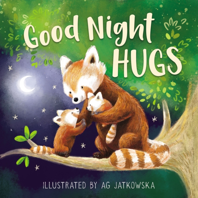 Good Night Hugs, Board book Book