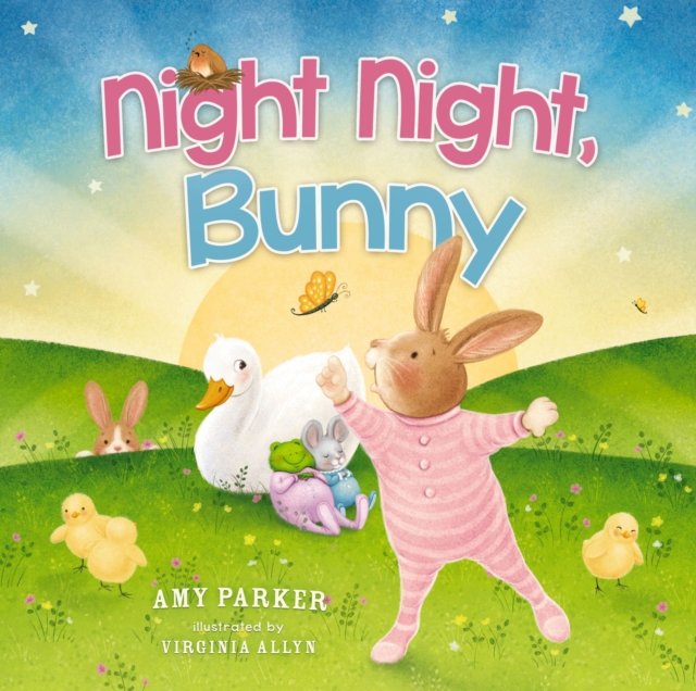 Night Night, Bunny, Board book Book