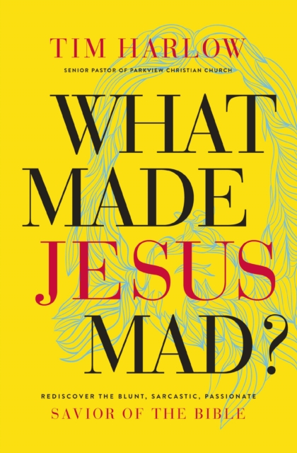 What Made Jesus Mad? : Rediscover the Blunt, Sarcastic, Passionate Savior of the Bible, Paperback / softback Book