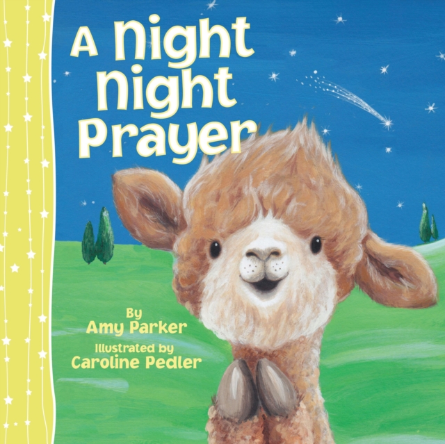 A Night Night Prayer, Board book Book