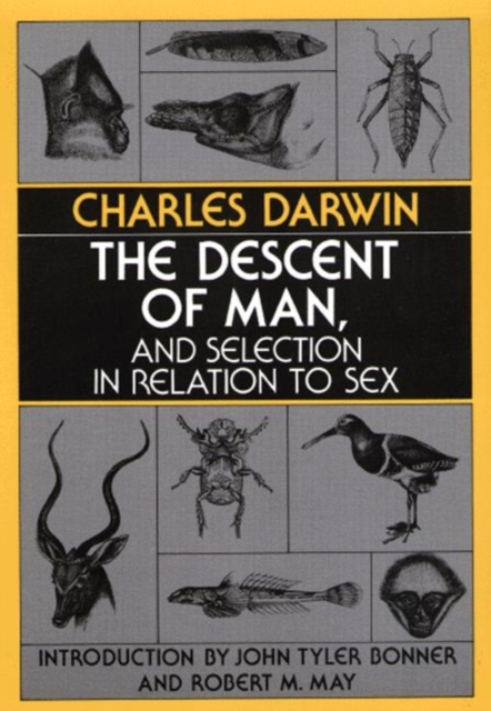 The Descent of Man, and Selection in Relation to Sex, PDF eBook