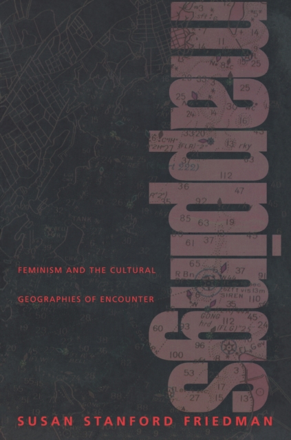 Mappings : Feminism and the Cultural Geographies of Encounter, EPUB eBook