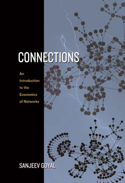 Connections : An Introduction to the Economics of Networks, EPUB eBook