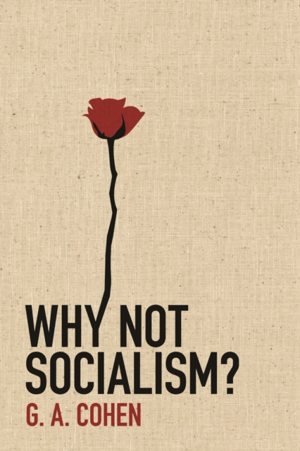 Why Not Socialism?, EPUB eBook