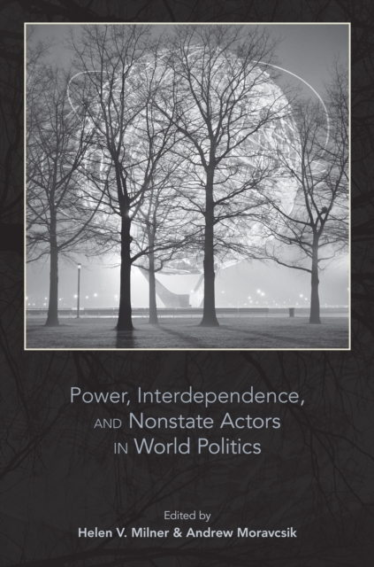 Power, Interdependence, and Nonstate Actors in World Politics, EPUB eBook