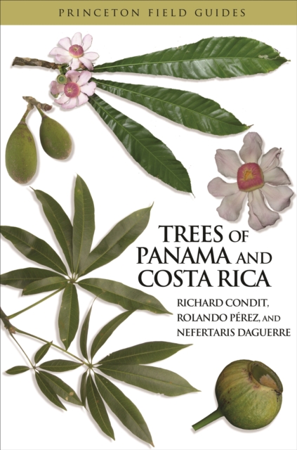 Trees of Panama and Costa Rica, EPUB eBook