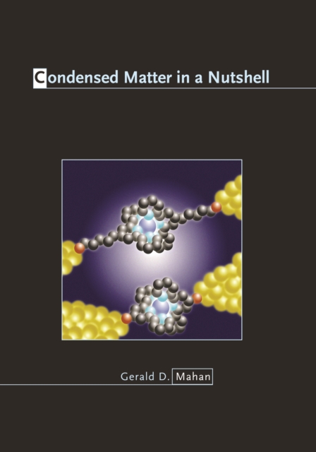 Condensed Matter in a Nutshell, EPUB eBook