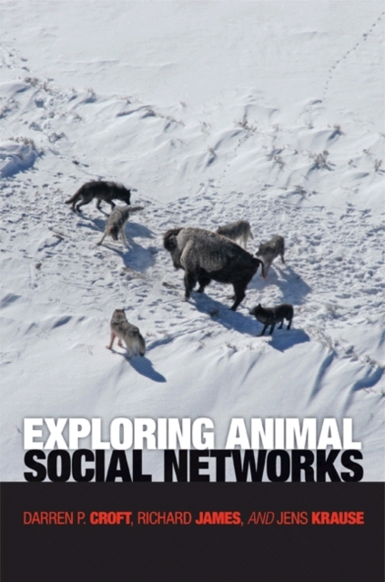 Exploring Animal Social Networks, PDF eBook