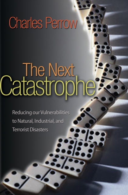 The Next Catastrophe : Reducing Our Vulnerabilities to Natural, Industrial, and Terrorist Disasters, EPUB eBook
