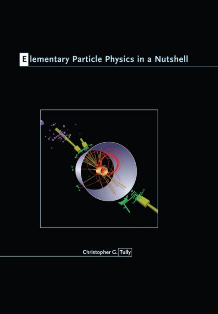 Elementary Particle Physics in a Nutshell, EPUB eBook