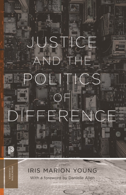 Justice and the Politics of Difference, EPUB eBook