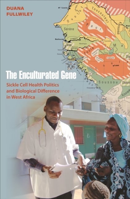 The Enculturated Gene : Sickle Cell Health Politics and Biological Difference in West Africa, EPUB eBook