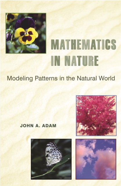 Mathematics in Nature : Modeling Patterns in the Natural World, EPUB eBook
