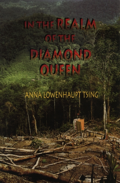 In the Realm of the Diamond Queen : Marginality in an Out-of-the-Way Place, EPUB eBook
