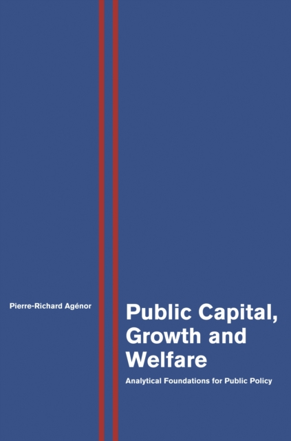 Public Capital, Growth and Welfare : Analytical Foundations for Public Policy, EPUB eBook