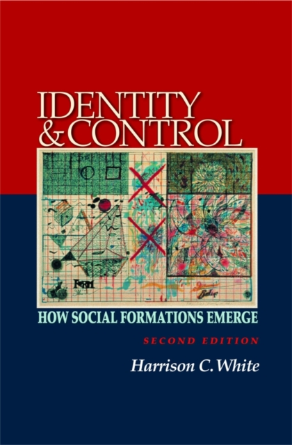Identity and Control : How Social Formations Emerge - Second Edition, PDF eBook
