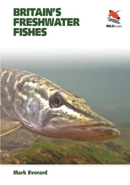Britain's Freshwater Fishes, PDF eBook