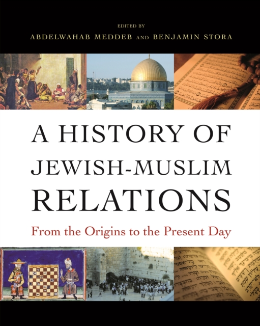 A History of Jewish-Muslim Relations : From the Origins to the Present Day, EPUB eBook