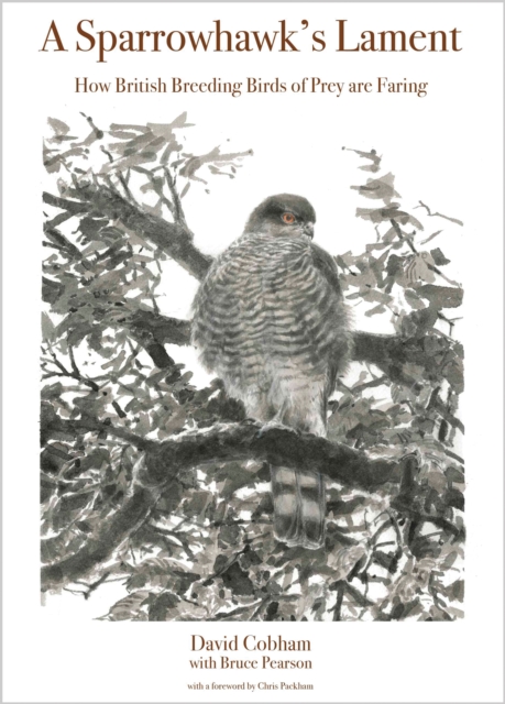 A Sparrowhawk's Lament : How British Breeding Birds of Prey Are Faring, EPUB eBook