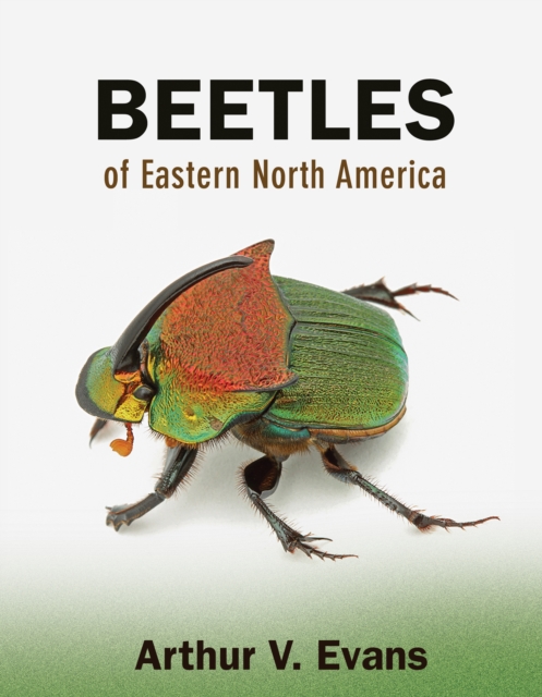 Beetles of Eastern North America, PDF eBook
