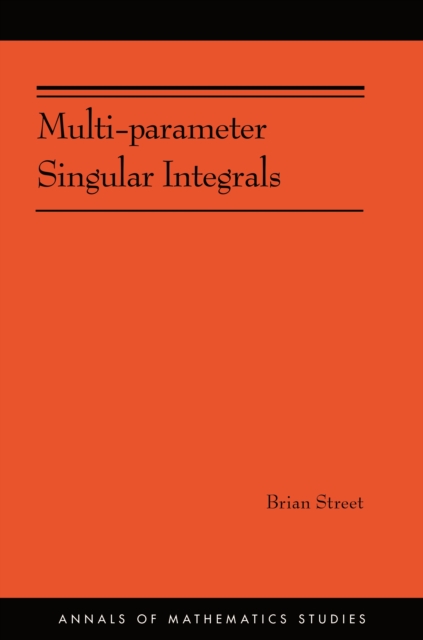 Multi-parameter Singular Integrals. (AM-189), Volume I, EPUB eBook