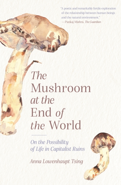 The Mushroom at the End of the World : On the Possibility of Life in Capitalist Ruins, EPUB eBook