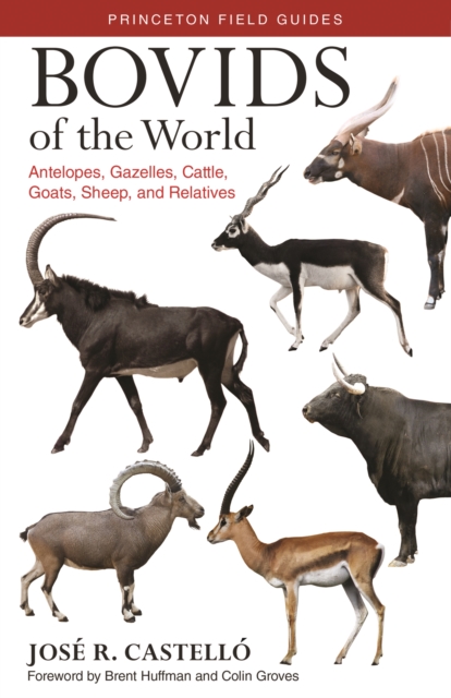 Bovids of the World : Antelopes, Gazelles, Cattle, Goats, Sheep, and Relatives, EPUB eBook