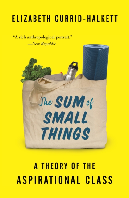 The Sum of Small Things : A Theory of the Aspirational Class, EPUB eBook