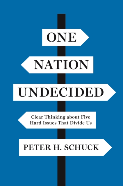 One Nation Undecided : Clear Thinking about Five Hard Issues That Divide Us, EPUB eBook