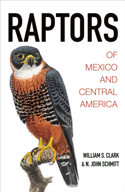 Raptors of Mexico and Central America, EPUB eBook