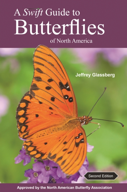 A Swift Guide to Butterflies of North America : Second Edition, PDF eBook