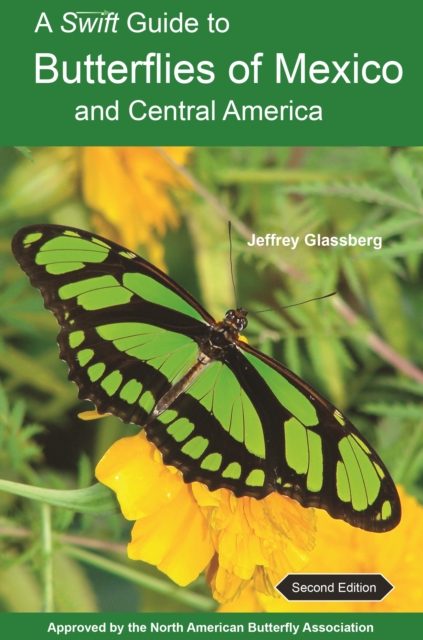 A Swift Guide to Butterflies of Mexico and Central America : Second Edition, PDF eBook