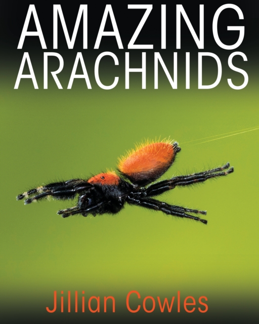 Amazing Arachnids, EPUB eBook