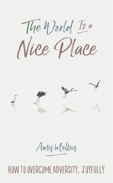 The World Is a Nice Place : How to Overcome Adversity, Joyfully, Paperback / softback Book