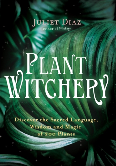 Plant Witchery : Discover the Sacred Language, Wisdom, and Magic of 200 Plants, Paperback / softback Book