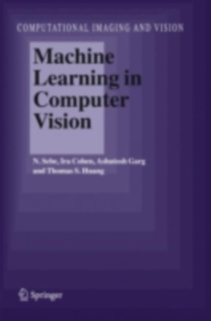 Machine Learning in Computer Vision, PDF eBook